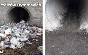 Zlikwidowaliśmy kolejne dzikie wysypiska (7)