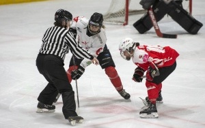 Orlice Bytom - KMH Hokiklub Budapest (4)