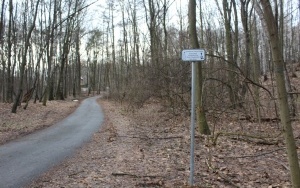 Park Wiedzy i Rekreacji w Bytomiu - Suchej Górze. Geograficzne serce Górnego Śląska - to kolejny projekt zrealizowany w ramach Bytomskiego Budżetu Obywatelskiego (4)