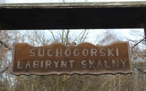 Park Wiedzy i Rekreacji w Bytomiu - Suchej Górze. Geograficzne serce Górnego Śląska - to kolejny projekt zrealizowany w ramach Bytomskiego Budżetu Obywatelskiego (9)