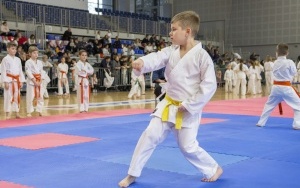 Bytom na jeden dzień stał się Miastem Karate  (7)