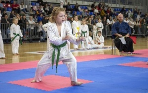 Bytom na jeden dzień stał się Miastem Karate  (9)