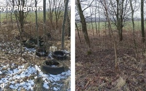  Zlikwidowaliśmy kolejne dzikie wysypiska w Bytomiu  (5)