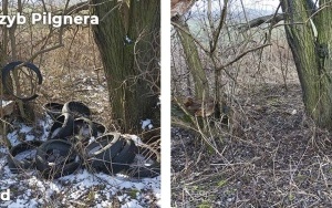  Zlikwidowaliśmy kolejne dzikie wysypiska w Bytomiu  (6)