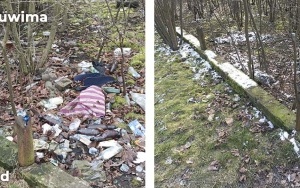  Zlikwidowaliśmy kolejne dzikie wysypiska w Bytomiu  (3)