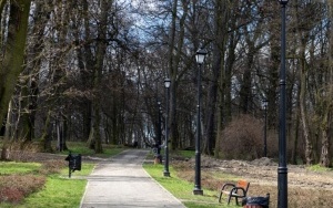 Trwają prace przy montażu oświetlenia, budowie alejek i strefy rekreacji w Parku Ludowym (1)