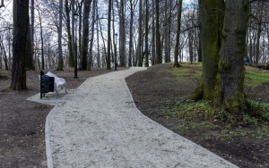 Trwają prace przy montażu oświetlenia, budowie alejek i strefy rekreacji w Parku Ludowym (3)