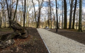 Trwają prace przy montażu oświetlenia, budowie alejek i strefy rekreacji w Parku Ludowym (5)