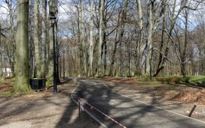 Trwają prace przy montażu oświetlenia, budowie alejek i strefy rekreacji w Parku Ludowym (8)