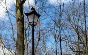Trwają prace przy montażu oświetlenia, budowie alejek i strefy rekreacji w Parku Ludowym (10)