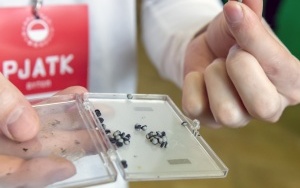 Polsko-Japońska Akademia Technik Komputerowych znów będzie kształcić studentów w Bytomiu (14)