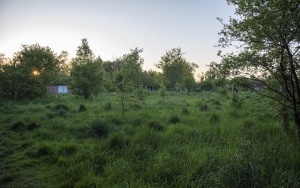 Dżońcio Park w Rozbarku (1)