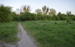 Dżońcio Park w Rozbarku (3)