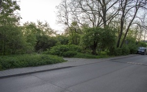 Dżońcio Park w Rozbarku (6)