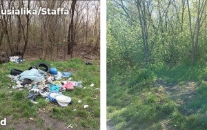  Zlikwidowaliśmy kolejne dzikie wysypiska w Bytomiu (9)