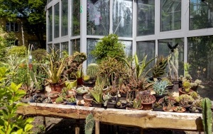 Arboretum przy ul. Tarnogórskiej (1)