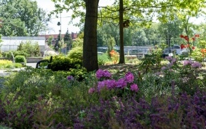 Arboretum przy ul. Tarnogórskiej (5)