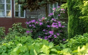 Arboretum przy ul. Tarnogórskiej (6)
