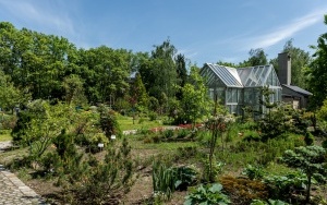 Arboretum przy ul. Tarnogórskiej (1)