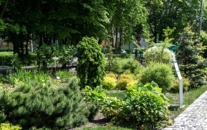 Arboretum przy ul. Tarnogórskiej (4)