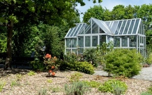 Arboretum przy ul. Tarnogórskiej (11)