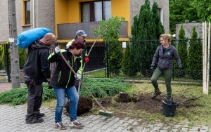  76 nowych drzew do końca maja nasadzimy w Bytomiu (1)