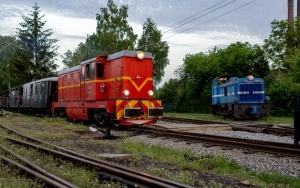 Wieczór z wąskotorówką (11)