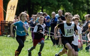 Finał Śląskiej Ligi Biegowej (8)