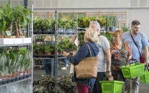 Kwiaty zawładnęły Halą na Skarpie (5)