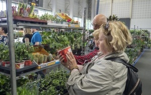 Kwiaty zawładnęły Halą na Skarpie (7)