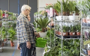 Kwiaty zawładnęły Halą na Skarpie (10)