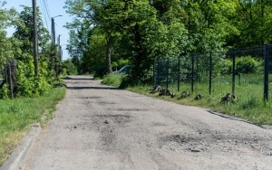 Trwają remonty ulic w dzielnicach. Wkrótce rozpocznie się remont ul. Batalionów Chłopskich (2)