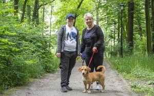 Rodzinny spacer z podopiecznymi Schroniska dla bezdomnych zwierząt (7)