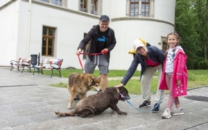 Rodzinny spacer z podopiecznymi Schroniska dla bezdomnych zwierząt (10)