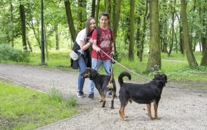 Rodzinny spacer z podopiecznymi Schroniska dla bezdomnych zwierząt (7)