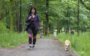Rodzinny spacer z podopiecznymi Schroniska dla bezdomnych zwierząt (8)