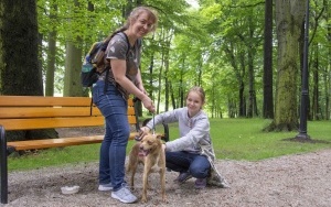 Rodzinny spacer z podopiecznymi Schroniska dla bezdomnych zwierząt (12)