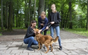 Rodzinny spacer z podopiecznymi Schroniska dla bezdomnych zwierząt (14)