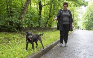 Rodzinny spacer z podopiecznymi Schroniska dla bezdomnych zwierząt (14)