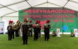 Międzynarodowa Wystawa Psów Rasowych (1)