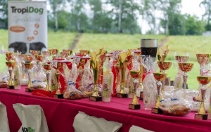 Międzynarodowa Wystawa Psów Rasowych (2)