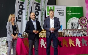 Międzynarodowa Wystawa Psów Rasowych (1)