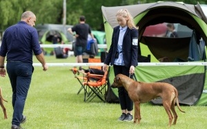 Międzynarodowa Wystawa Psów Rasowych (11)