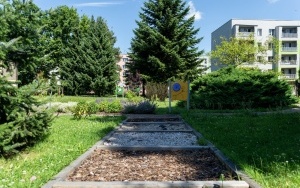 Teraz Karb. Kolejny projekt Bytomskiego Budżetu Obywatelskiego zrealizowany (7)