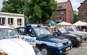 Śląski piknik przy schronie (4)