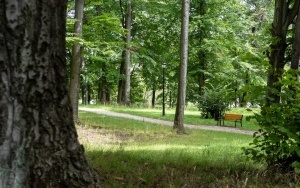 Park Ludowy w Bytomiu - Miechowicach w nowej odsłonie. Powstało nowe oświetlenie, nowy plac zabaw i siłownia zewnętrzna (1)