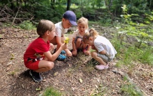 Dzieci z Przedszkola Kamyki Patyki na łonie natury (6)