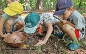 Dzieci z Przedszkola Kamyki Patyki na łonie natury (9)