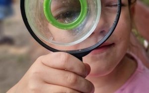 Dzieci z Przedszkola Kamyki Patyki na łonie natury (12)