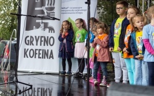 Festyn BSM (2)